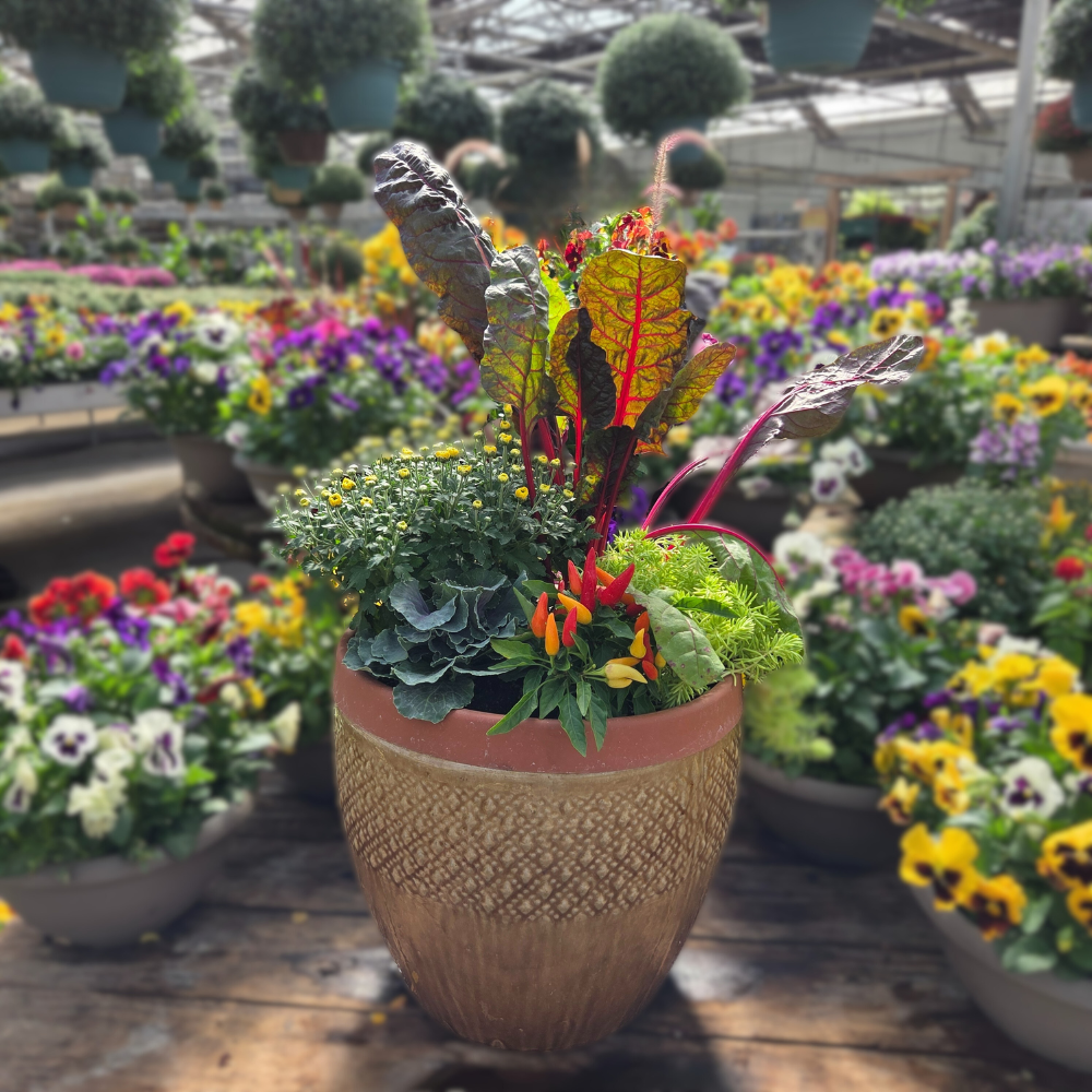 DIY - Fall Container Bundle