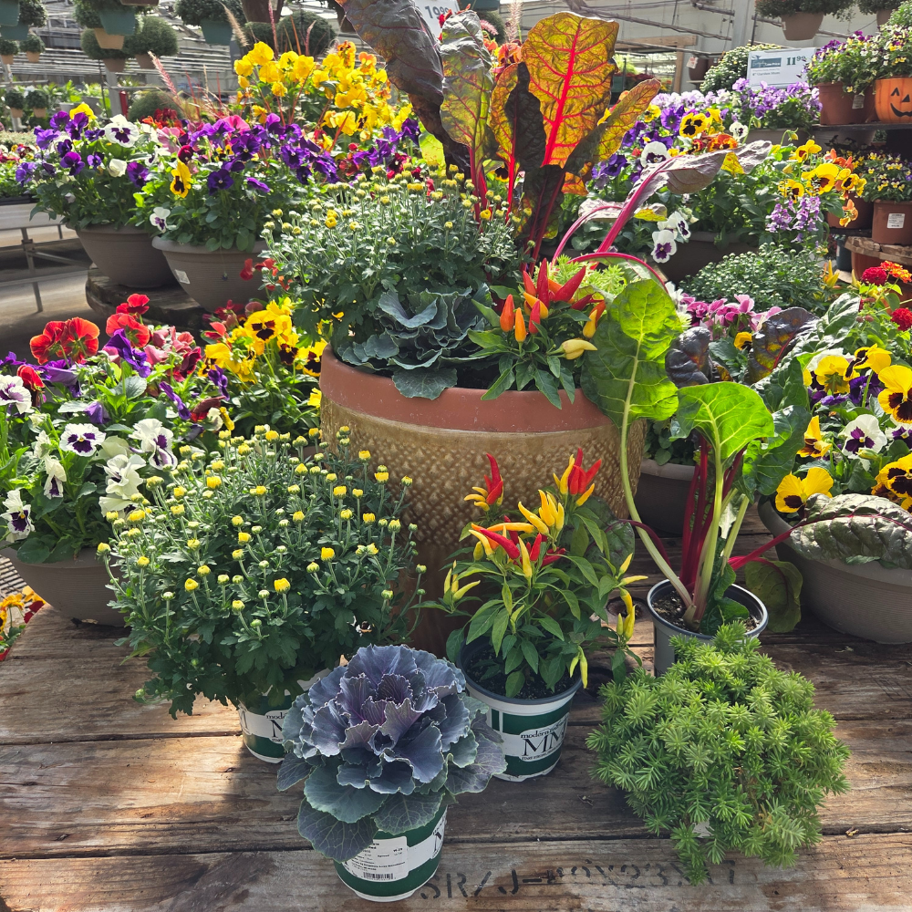 DIY - Fall Container Bundle
