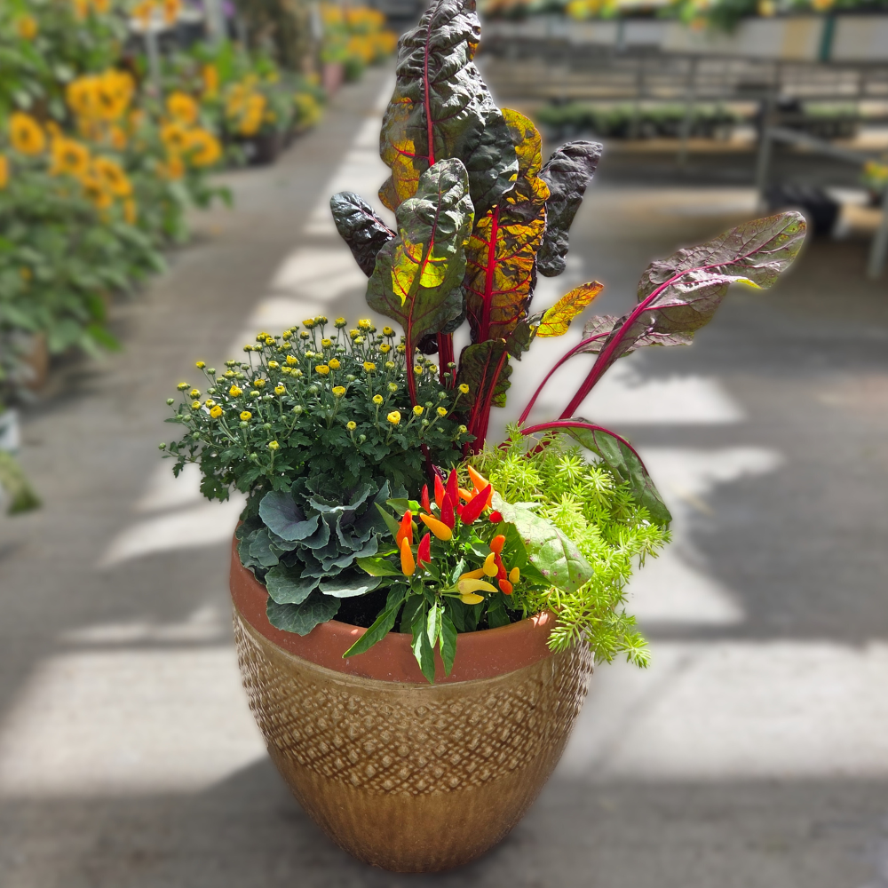DIY - Fall Container Bundle