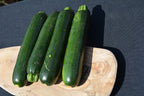 Squash Zucchini - 4 Pack Vegetable