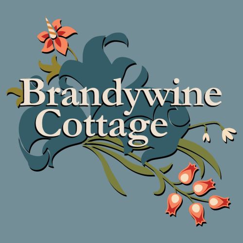 Symphytum x 'Hidcote Blue' (Blue Comfrey) #1 Pot - Brandywine Cottage™  Collection